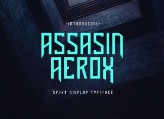 Assasin Aerox Display Font