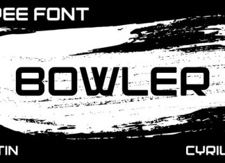 Bowler Display Font