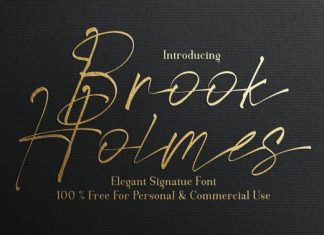 Brook Holmes Script Font