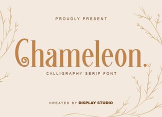 Chameleon Serif Font
