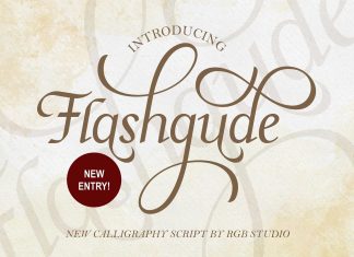 Flashgude Script Font