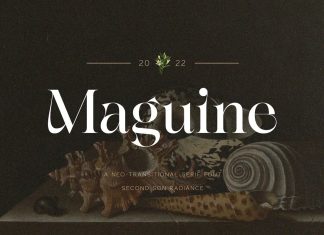 Maguine Serif Font