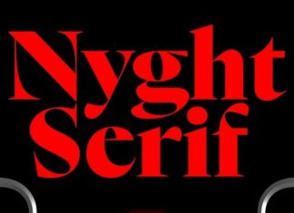 Nyght Serif Font