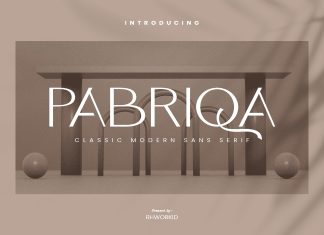 Pabriqa Sans Serif Font