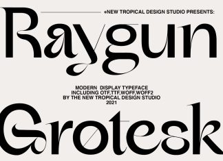 Raygun Sans Serif Font