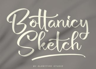 Bottanicy Sketch Script Font