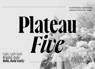 Plateau Five Serif Font