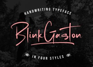 Blink Gaston Script Font