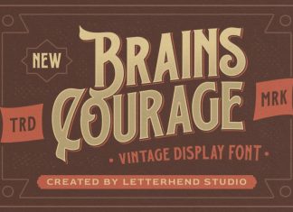 Brains Courage Display Font