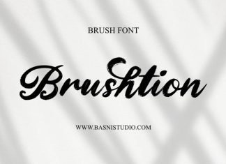 Brushtion Brush Font