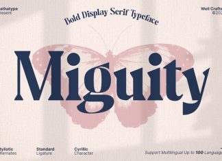 Miguity Serif Font