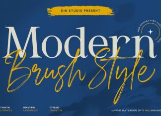 Modern Brush Style Serif Font