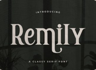 Remily Serif Font