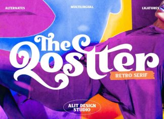 The qoestter Serif Font