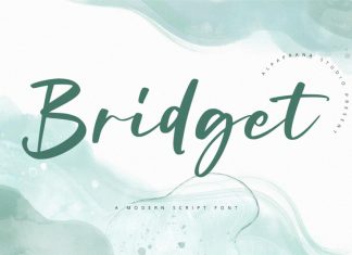 Bridget - Modern Script Font