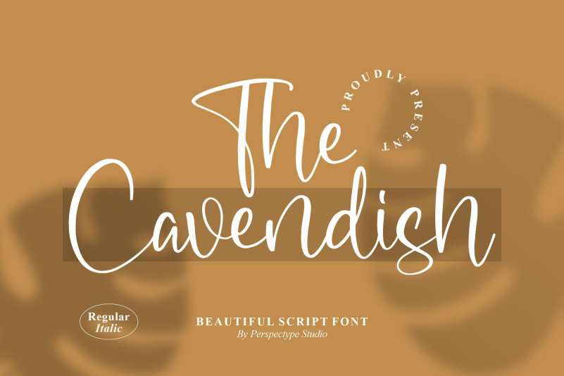 Cavendish Script Typeface