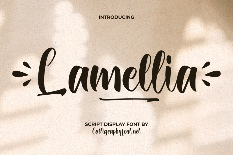 Lamellia Script Font