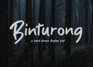 Binturong Handwritten Font