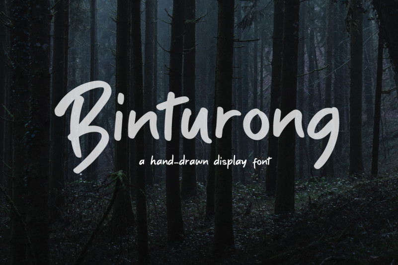 Binturong Handwritten Font