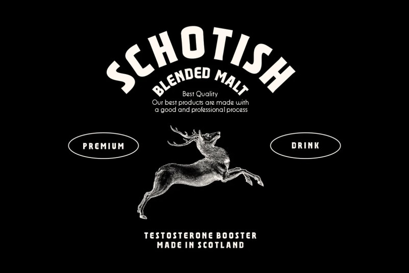 Champagne Toast Font Download Free Font