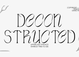 Deconstructed Serif Font