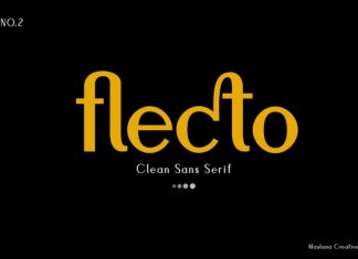 Flecto Sans Serif Font