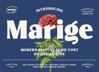 Reske Wuite Display Font