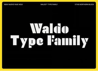 Waldo Display Font