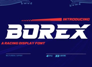 Borex Display Font