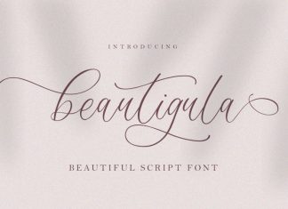 Beautigula Script Font