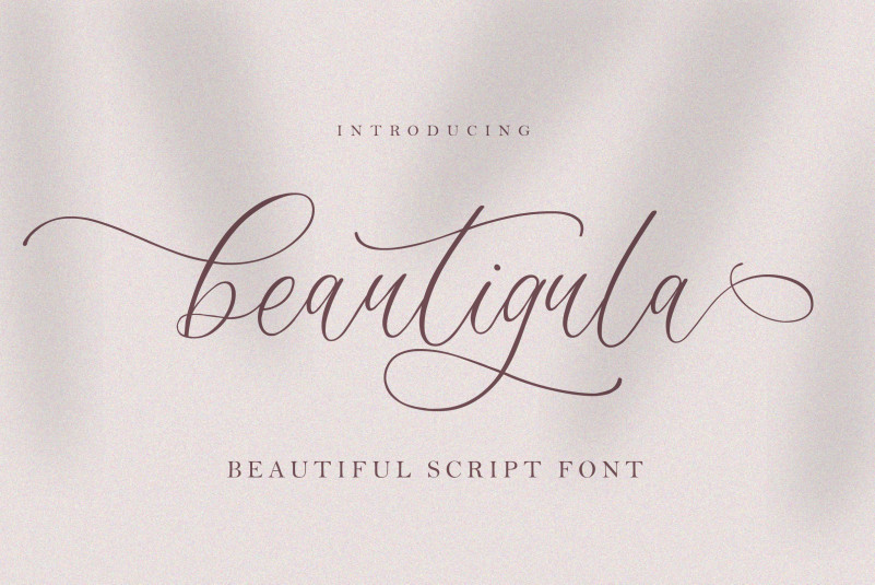 Beautigula Script Font