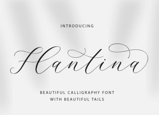 Flantina Calligraphy Font