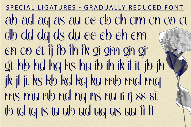 Gradually Reduced Font - Download Free Font