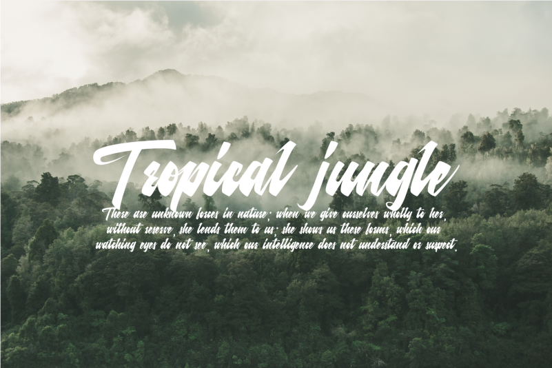 Retention Font Download Free Font