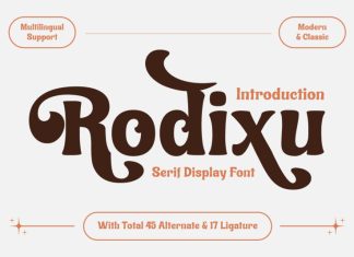 Rodixu Serif Font