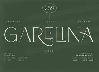 Garelina Serif Font