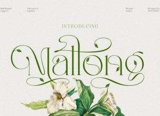Mallong Serif Font
