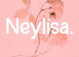 Neylisa Sans Serif Font