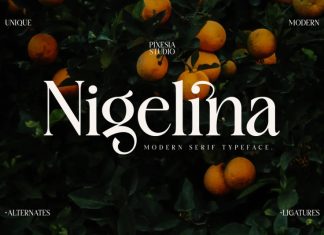 Nigelina Serif Font
