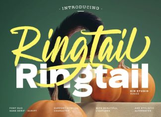 Ringtail Sans Serif Font