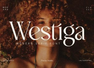 Westiga Serif Font