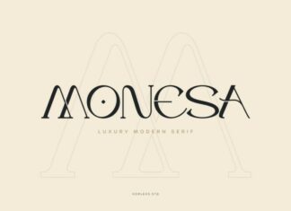 Monesa Serif Typeface
