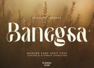 Banegsa Sans Serif Typeface