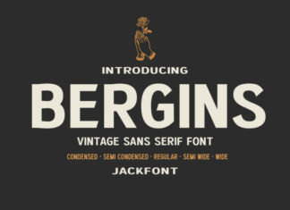 JF Bergins Sans Serif Font