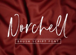 Norchell Brush Font
