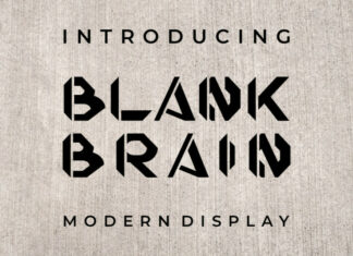 Blank Brain Display Font
