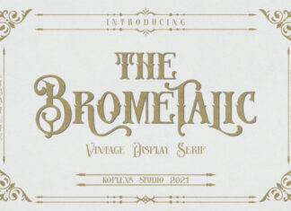 Brometalic Display Typeface