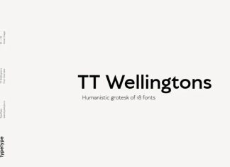 TT Wellingtons Sans Serif Font