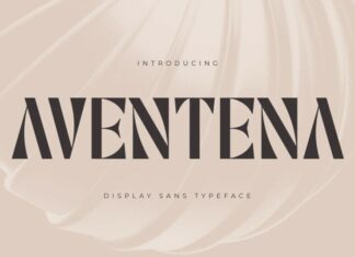Aventena Sans Serif Font