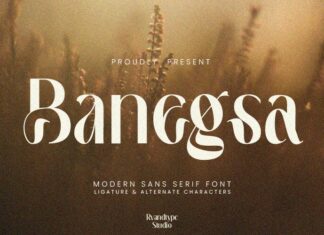 Banegsa Serif Font